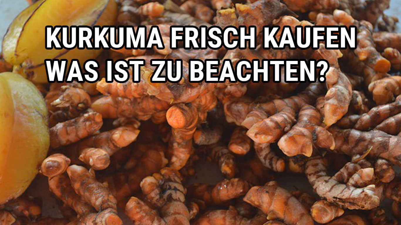 Kurkuma frisch kaufen - was beachten? - Nur für dich