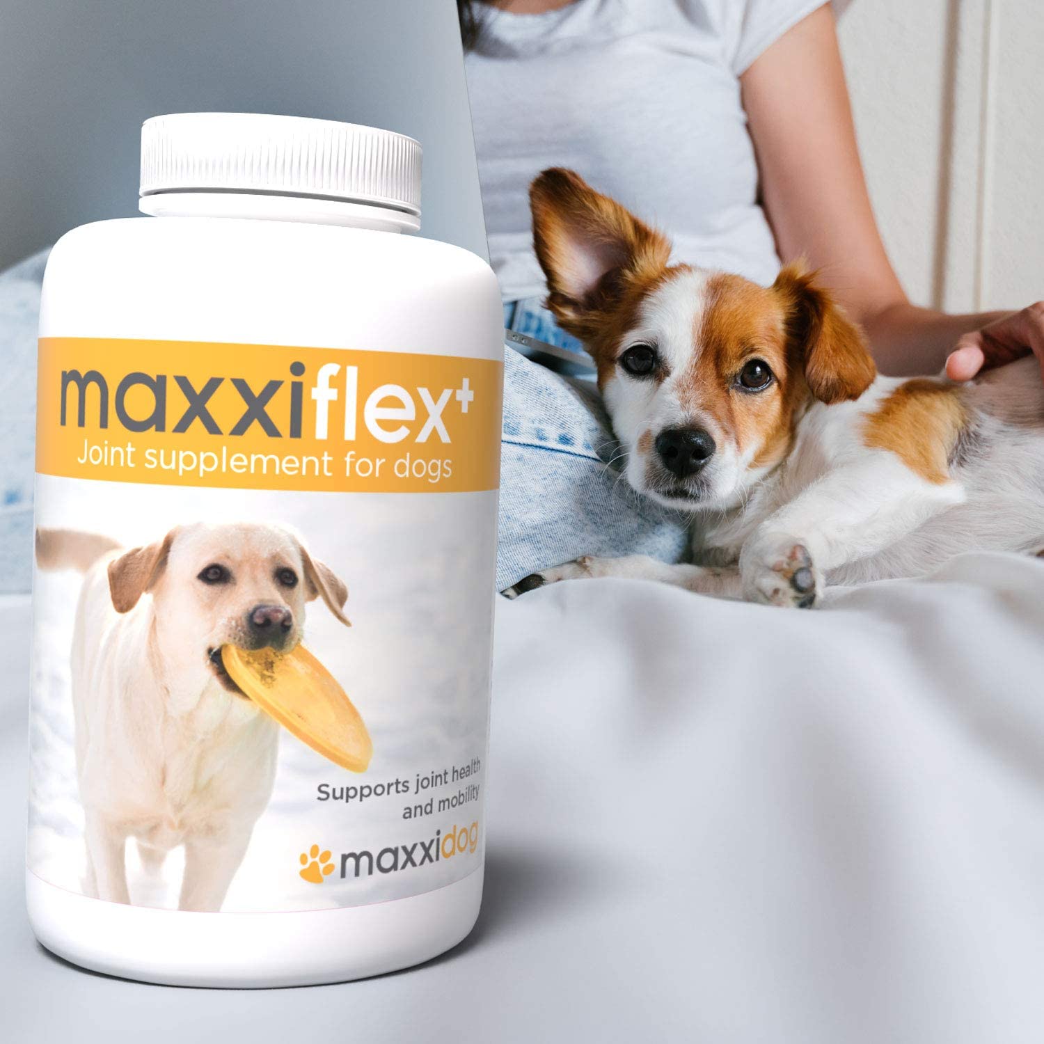 Maxxiflex Gelenktabletten für Hunde mit Kurkuma Nur für dich